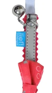 Lief! Kattenhalsband Girls met strik