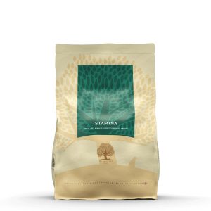 Essential Foods Stamina 2,5KG