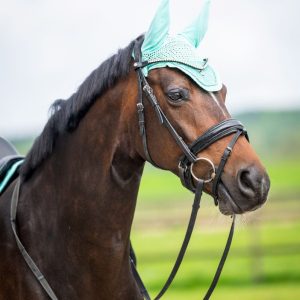 Showtime oornet glitter Mint