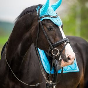 Showtime oornet glitter Light Blue