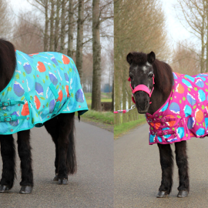 regendeken pony outdoor Hedgehog fleece