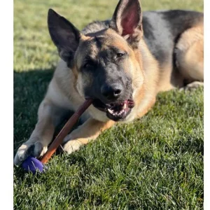 Bully grip bottenhouder