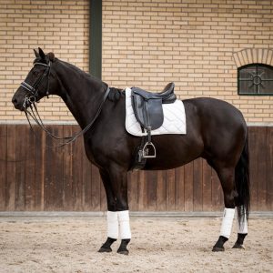 Showtime Crown dressuur zadeldek Wit