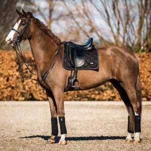 Showtime Crown dressuur zadeldek Zwart