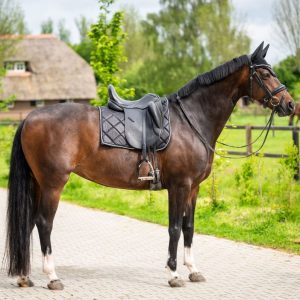 Showtime dressuur zadeldek Zwart