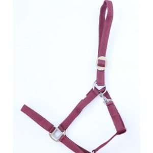 Halster Economic Bordeaux