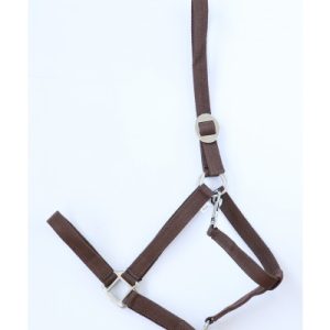 Halster Economic Bruin