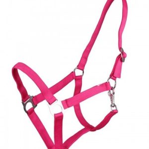 Halster Economic Fuchsia