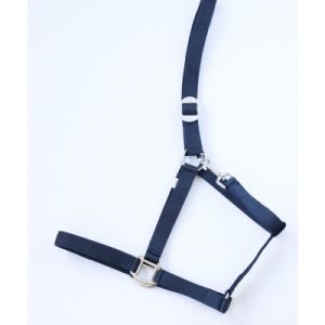 Halster Economic Navy