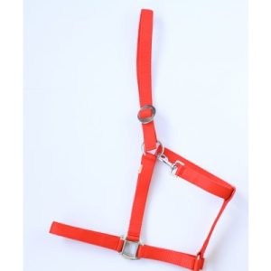 Halster Economic Rood