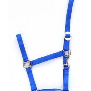 Halster Economic Royal blue