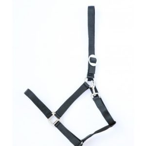 Halster Economic Zwart