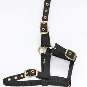 HB Nylon veulenhalster