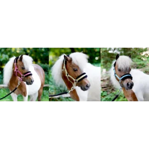 HB Little sizes Sunny Flower halsters