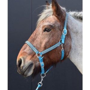 HB Halster Diamonds Collection xxfull