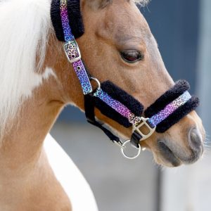 Halster Little sizes funny