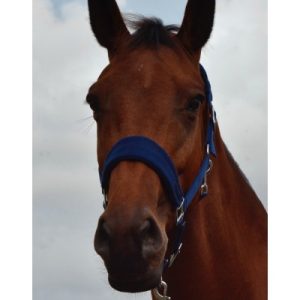 Bellwood halster fleece gevoerd Navy