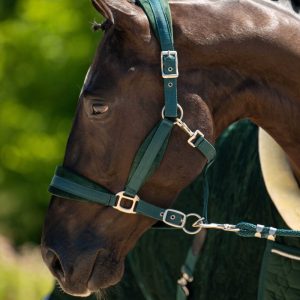 Halsterset forest green velvet