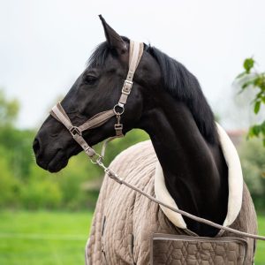 Halsterset taupe velvet