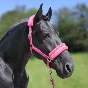 HB Halster Soft met tekst