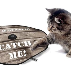 D&D Catchme adventure undercovermouse 60 cm