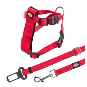 Autogordel voor katten