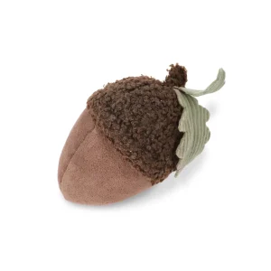 ACORN (21 cm)
