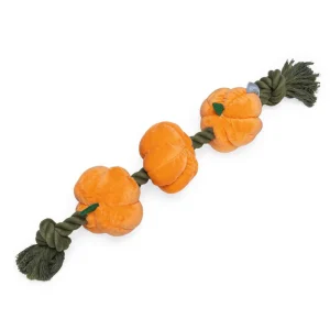 Touw met Pompoenen (40 cm)