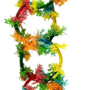 Birrdeeez Vogel speelgoed Sekelbos Olympic Ring RT8