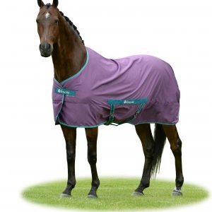 Bucas Freedom Twill sheet zomerdeken violet/green