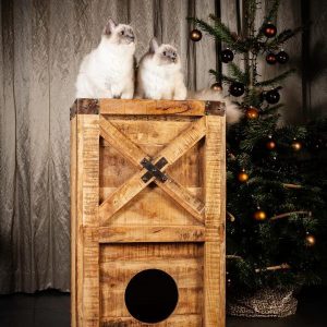 Cat tower two storeys + accessories