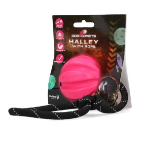 Dog Comets Halley met touw