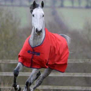 Bucas Crimson freedom turnout