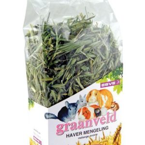 Esve Graanveld knaagdier