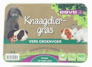 Esve Knaagdiergras vers groenvoer 120gr