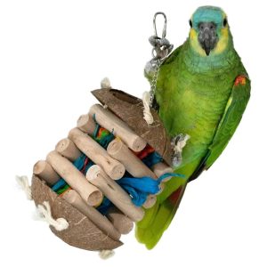 Feather World coco jenga vogel speelgoed
