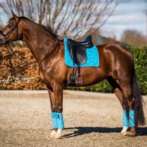 Showtime Crown dressuur zadeldek Turquoise