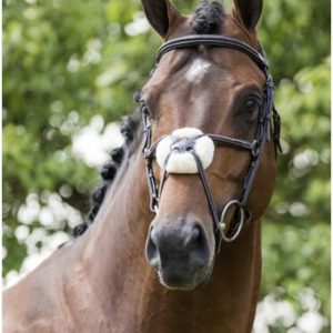 HB showtime Mexico hoofdstel