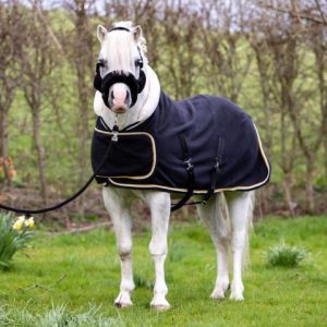 HB Showtime harry&hector dutch crown showdeken