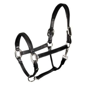 Harry's Horse halster leder padded