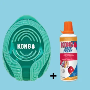 Combideal Kong Licks Rewards Groen (11.5 CM) + Kong Easy Treat Cheddar Kaas (226 Gram)