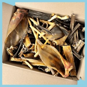 Pawty - Snackpakket Klein - Natuurlijke Hondensnacks - 50+ stuks (1 KG)