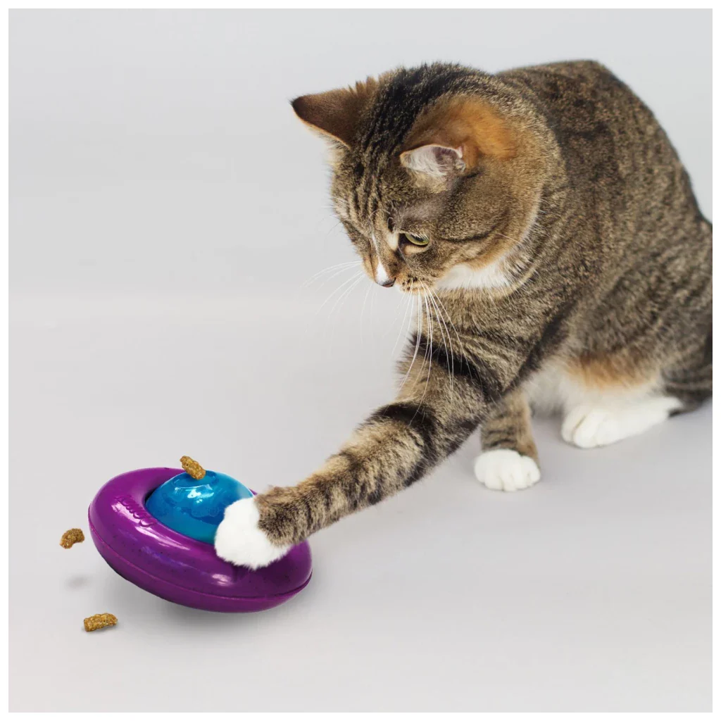 KONG Infused Cat Gyro - Afbeelding 2
