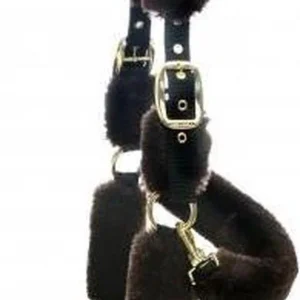 Kentucky transport halster wol