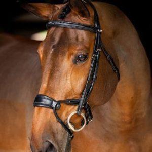 Lemieux Kudos Clear Arc Bridle Black/Silver