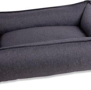 Lex & Max Basket Paris