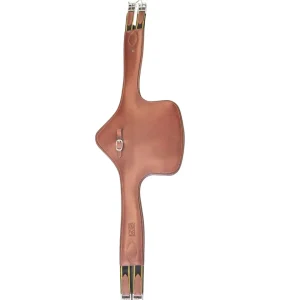 BR Singel Jos Lansink met Springflap