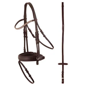 Premiere hoofdstel Dijon