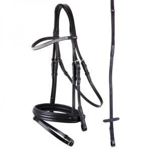 Premiere hoofdstel Orleans