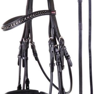 Premiere stang&trens Paris